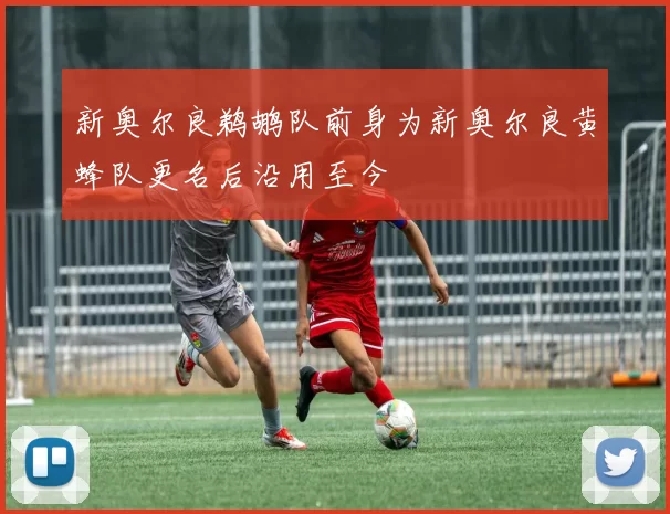新奥尔良鹈鹕队前身为新奥尔良黄蜂队更名后沿用至今