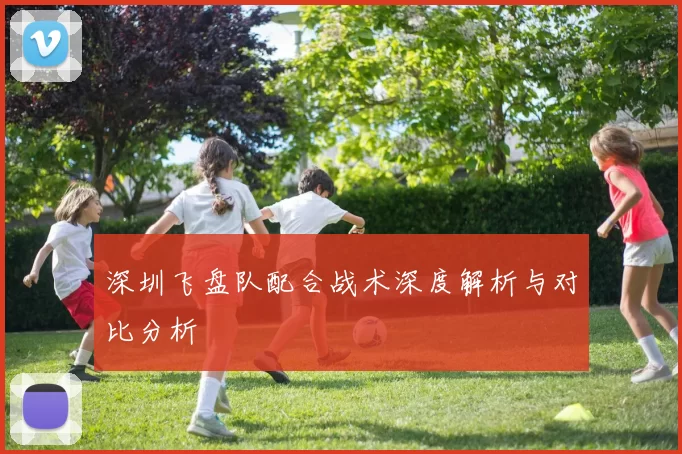深圳飞盘队配合战术深度解析与对比分析