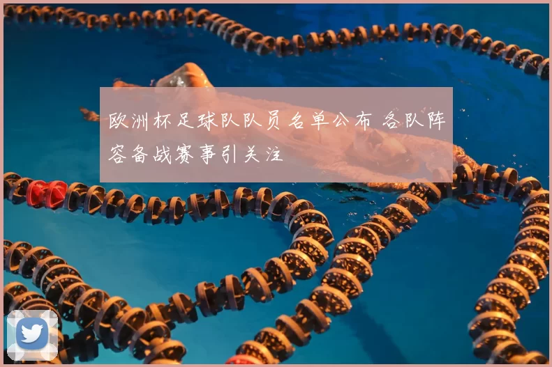 欧洲杯足球队队员名单公布 各队阵容备战赛事引关注