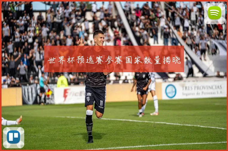 世界杯预选赛参赛国家数量揭晓