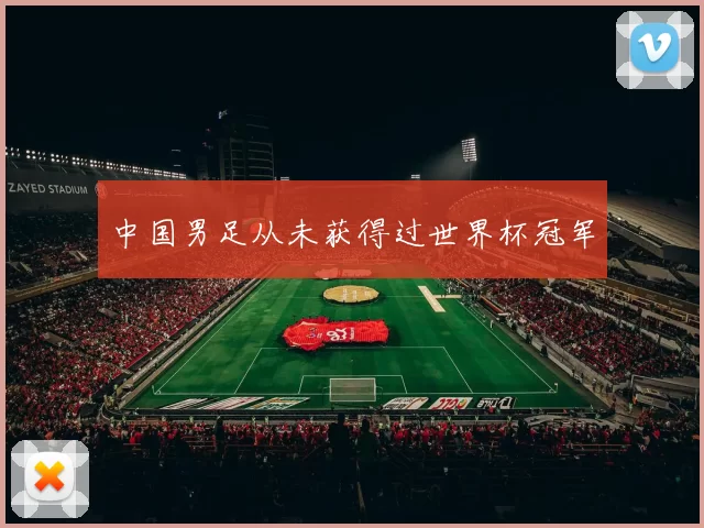 中国男足从未获得过世界杯冠军