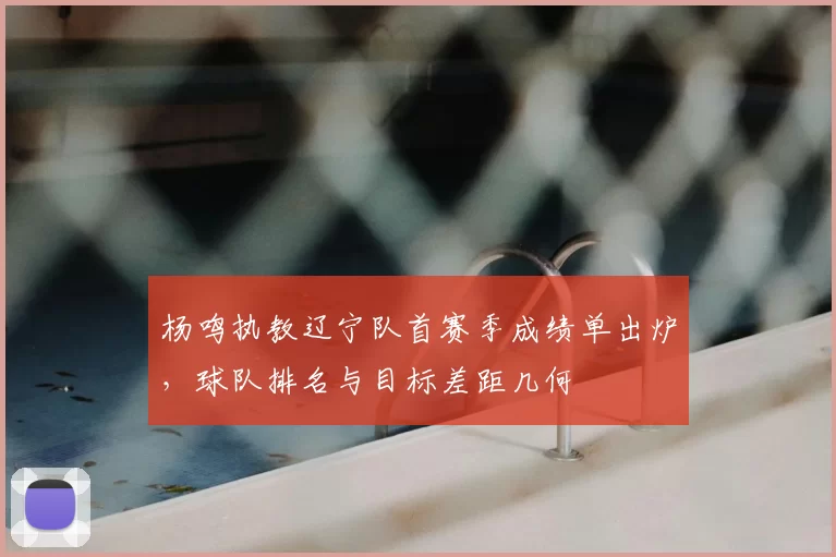 杨鸣执教辽宁队首赛季成绩单出炉，球队排名与目标差距几何