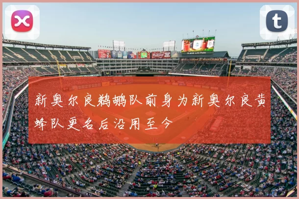 新奥尔良鹈鹕队前身为新奥尔良黄蜂队更名后沿用至今