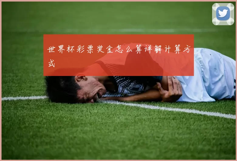 世界杯彩票奖金怎么算详解计算方式