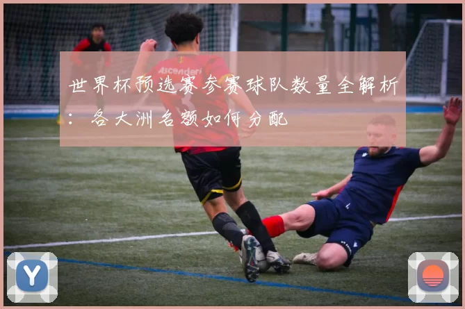 世界杯预选赛参赛球队数量全解析:各大洲名额如何分配