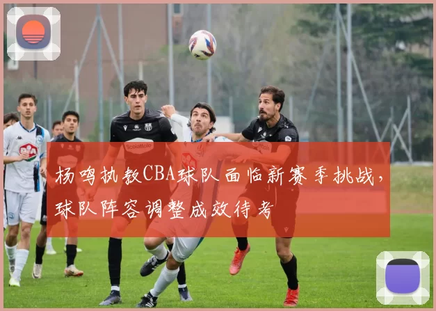 杨鸣执教CBA球队面临新赛季挑战，球队阵容调整成效待考