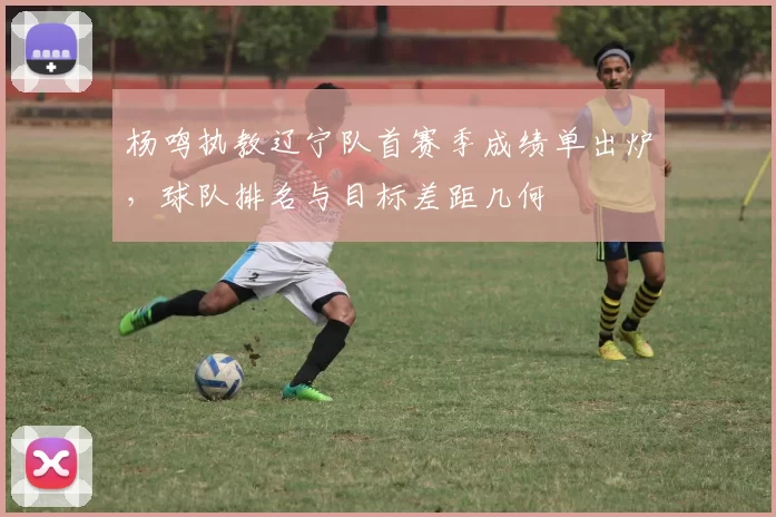 杨鸣执教辽宁队首赛季成绩单出炉，球队排名与目标差距几何