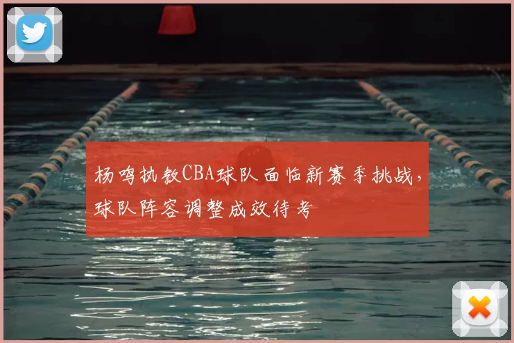 杨鸣执教CBA球队面临新赛季挑战，球队阵容调整成效待考