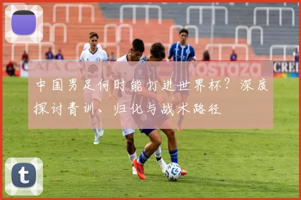 中国男足何时能打进世界杯？深度探讨青训、归化与战术路径